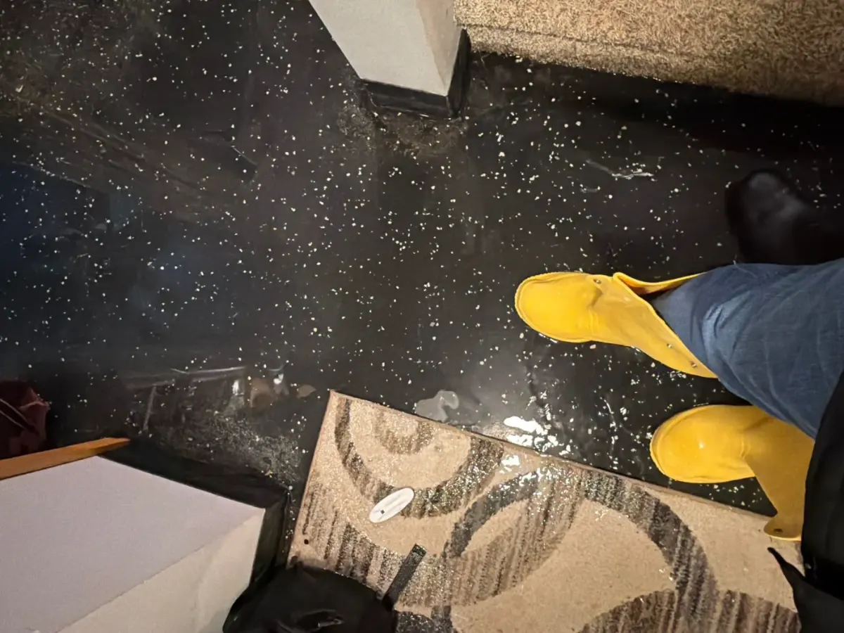 After water restoration