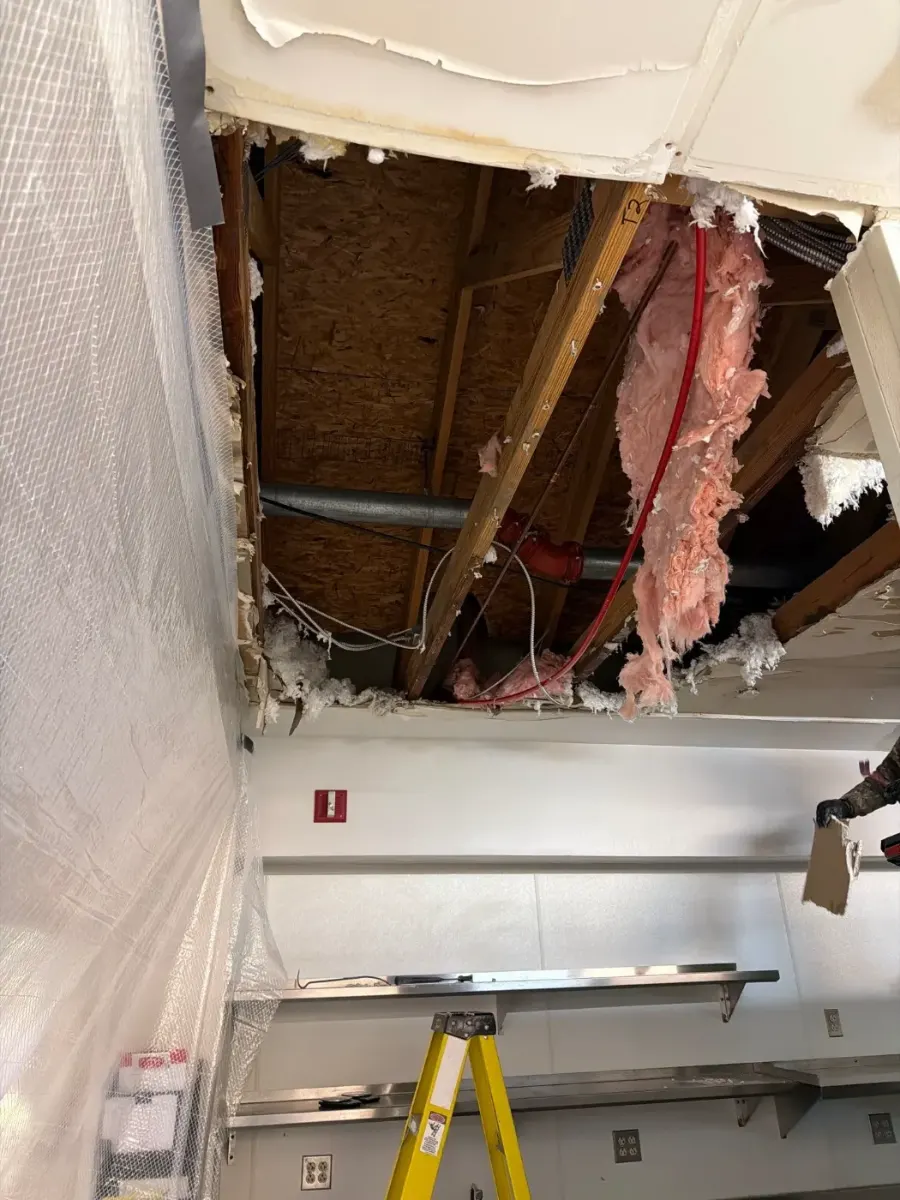 Before water restoration