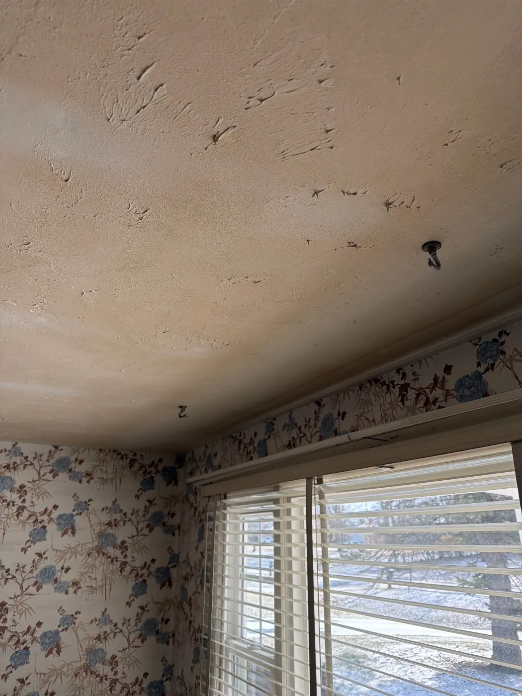 Thermal imaging during water damage assessment in Williams Creek residence